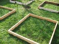 Cultiver écologique : potager, verger et agriculture bio